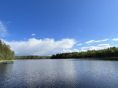 Русская баня, сауна - аренда в Витебской области, Беларусь | "Званное" баня, баня беларусь, русская баня, баня сауна, снять баню, аренда бани, бани витебская область.