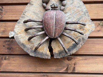 Русская баня, сауна - аренда в Витебской области, Беларусь | "Званное" баня, баня беларусь, русская баня, баня сауна, снять баню, аренда бани, бани витебская область.