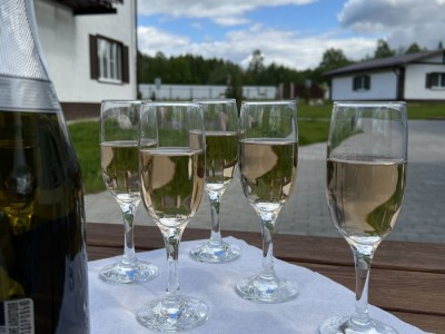 фото, галерея, фотогалерея