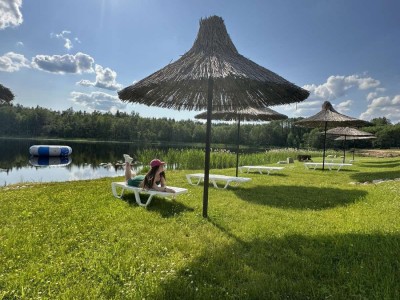 фото, галерея, фотогалерея