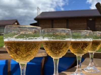 фото, галерея, фотогалерея