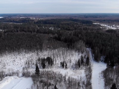 фото, галерея, фотогалерея