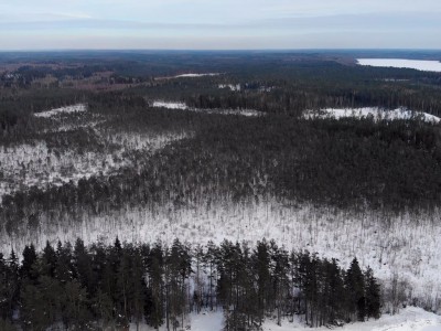 фото, галерея, фотогалерея