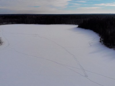 фото, галерея, фотогалерея