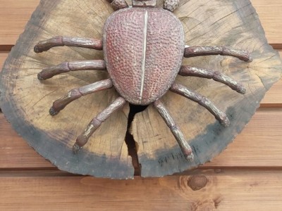 фото, галерея, фотогалерея