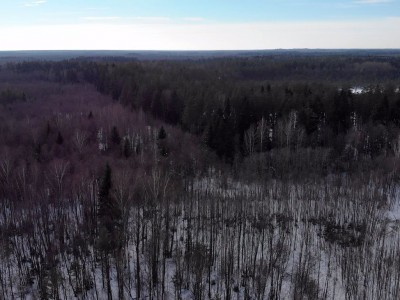 фото, галерея, фотогалерея