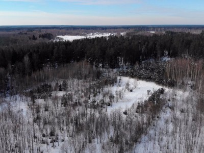 фото, галерея, фотогалерея