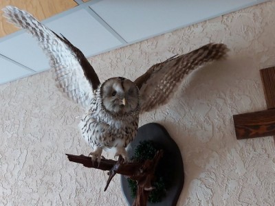 фото, галерея, фотогалерея