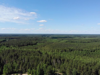 фото, галерея, фотогалерея