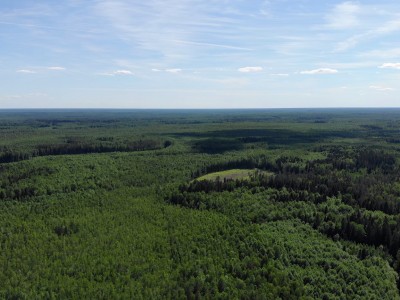 фото, галерея, фотогалерея