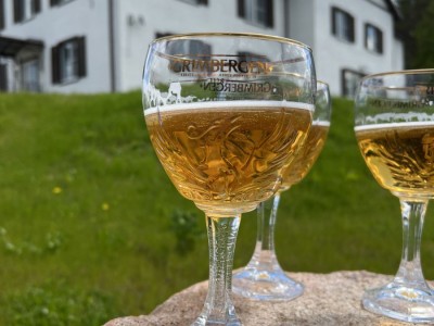 фото, галерея, фотогалерея