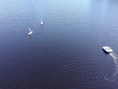 фото, галерея, фотогалерея