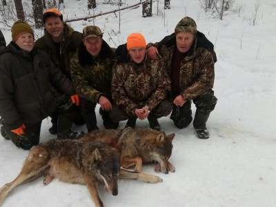 Охота и рыбалка в Беларуси | Охотхозяйство "Званное" охота в беларуси, охотхозяйство, охота и рыбалка в Беларуси, охота в Республике Беларусь, охотничий комплекс