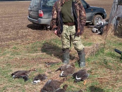 Охота и рыбалка в Беларуси | Охотхозяйство "Званное" охота в беларуси, охотхозяйство, охота и рыбалка в Беларуси, охота в Республике Беларусь, охотничий комплекс