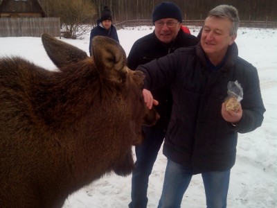 Охота и рыбалка в Беларуси | Охотхозяйство "Званное" охота в беларуси, охотхозяйство, охота и рыбалка в Беларуси, охота в Республике Беларусь, охотничий комплекс