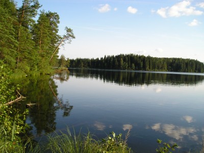 Охота и рыбалка в Беларуси | Охотхозяйство "Званное" охота в беларуси, охотхозяйство, охота и рыбалка в Беларуси, охота в Республике Беларусь, охотничий комплекс