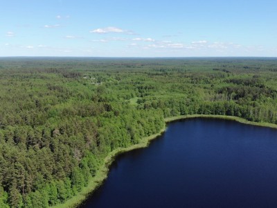 Активный отдых и досуг в туристическом комплексе "Званное" отдых, активный отдых, база отдыха, туристический комплекс, загородный комплекс, охота, рыбалка