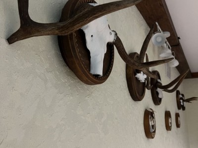 Бильярд в уютной атмосфере на базе отдыха "Званное" бильярд, игра в бильярд, бильярд на базе отдыха